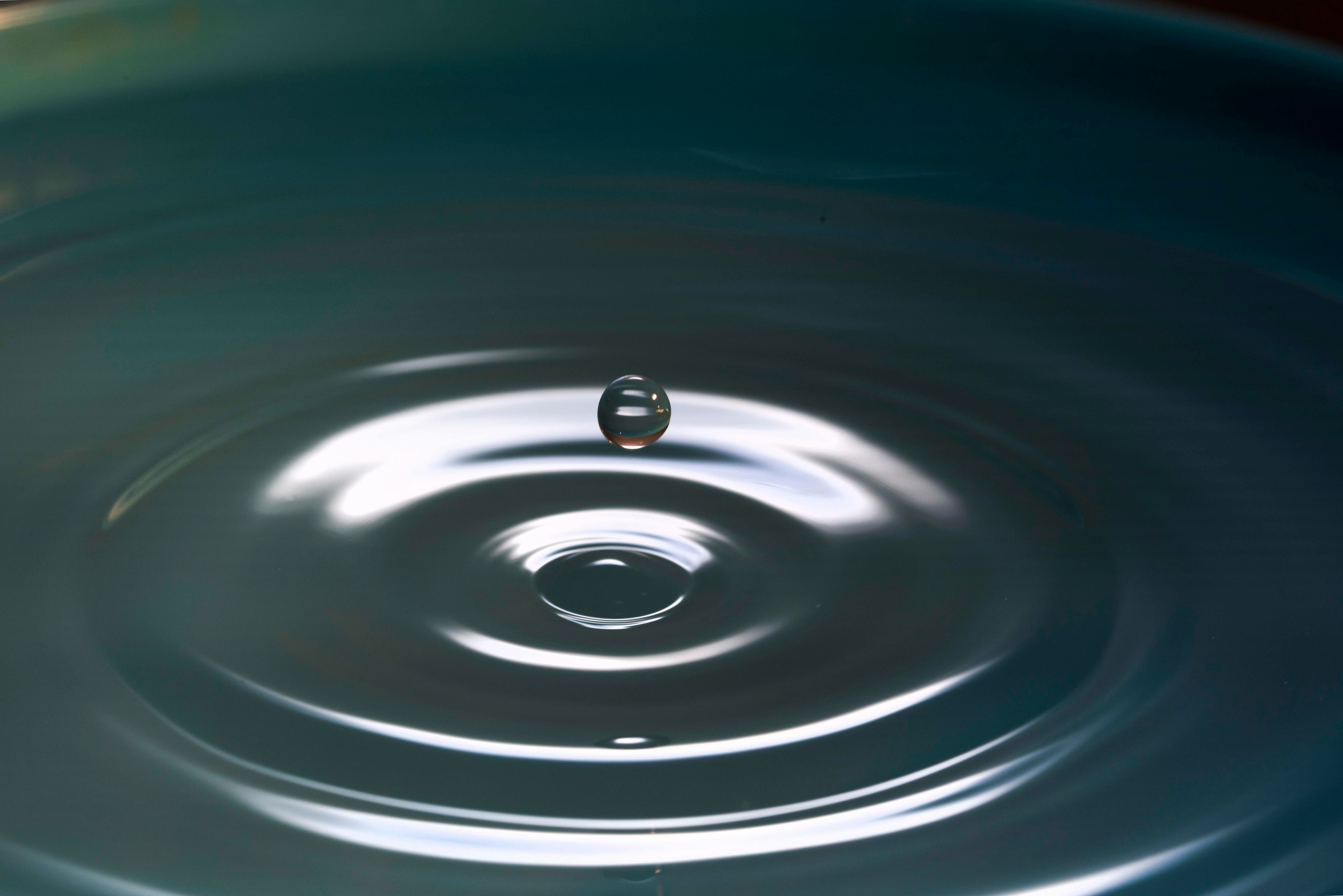 A holistic approach to nervous system regulation