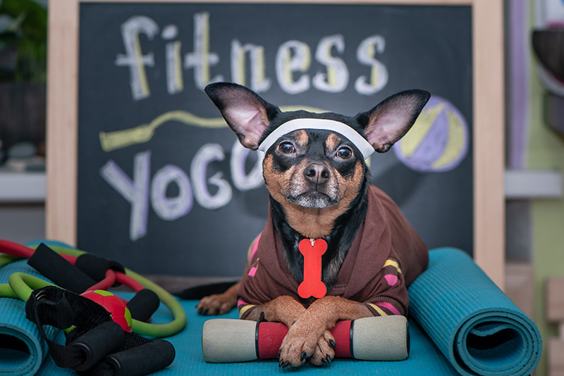 exercising through disruption