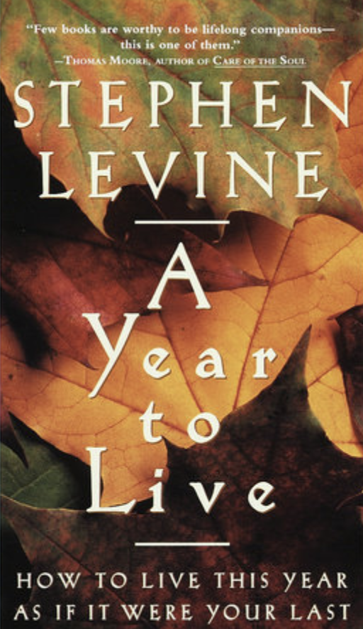 How to Live This Year As If It Were Your Last front cover