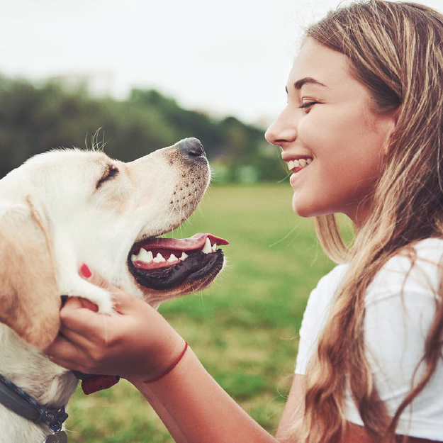 dog's best friend